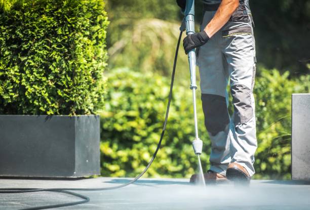 Best Pool Deck Cleaning  in Holly, MI